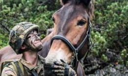 宫地蓝步兵在线观看,在线观看，探索神秘步兵世界的奇幻之旅